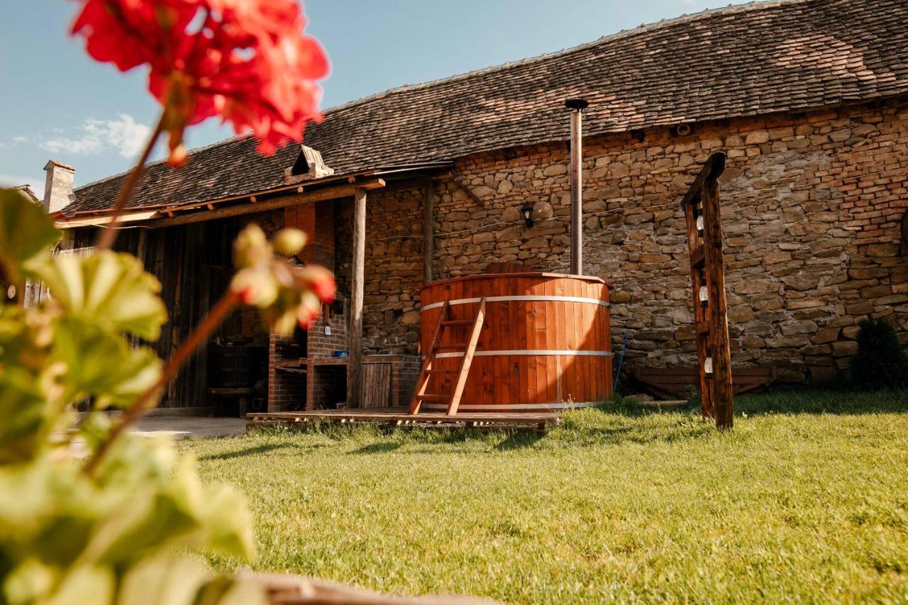 Pensjonat Casa Pe Valea Hartibaciului Barcut Zewnętrze zdjęcie