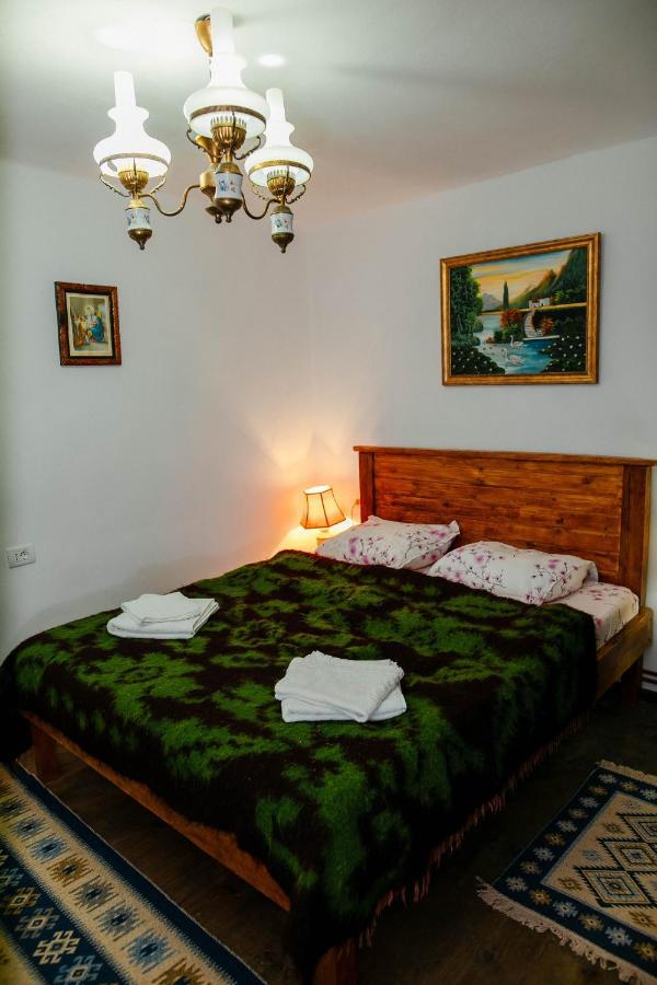 Pensjonat Casa Pe Valea Hartibaciului Barcut Zewnętrze zdjęcie