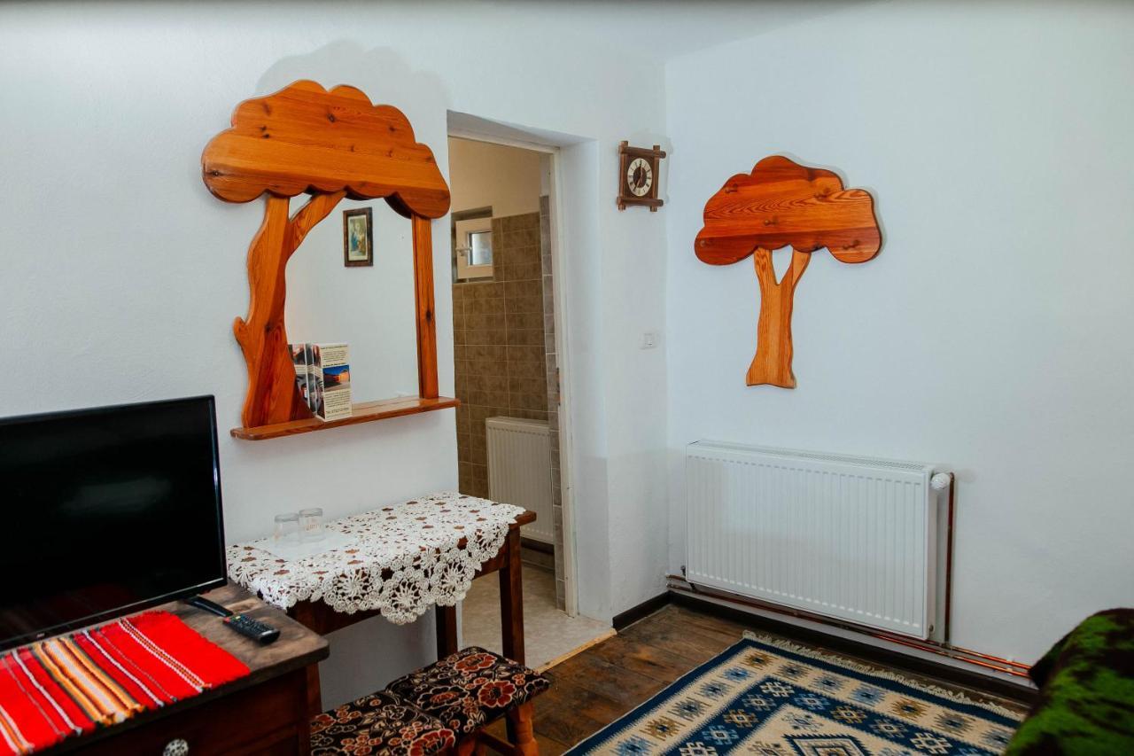 Pensjonat Casa Pe Valea Hartibaciului Barcut Zewnętrze zdjęcie