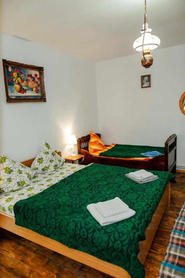 Pensjonat Casa Pe Valea Hartibaciului Barcut Zewnętrze zdjęcie