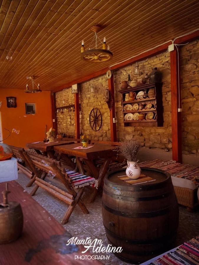 Pensjonat Casa Pe Valea Hartibaciului Barcut Zewnętrze zdjęcie