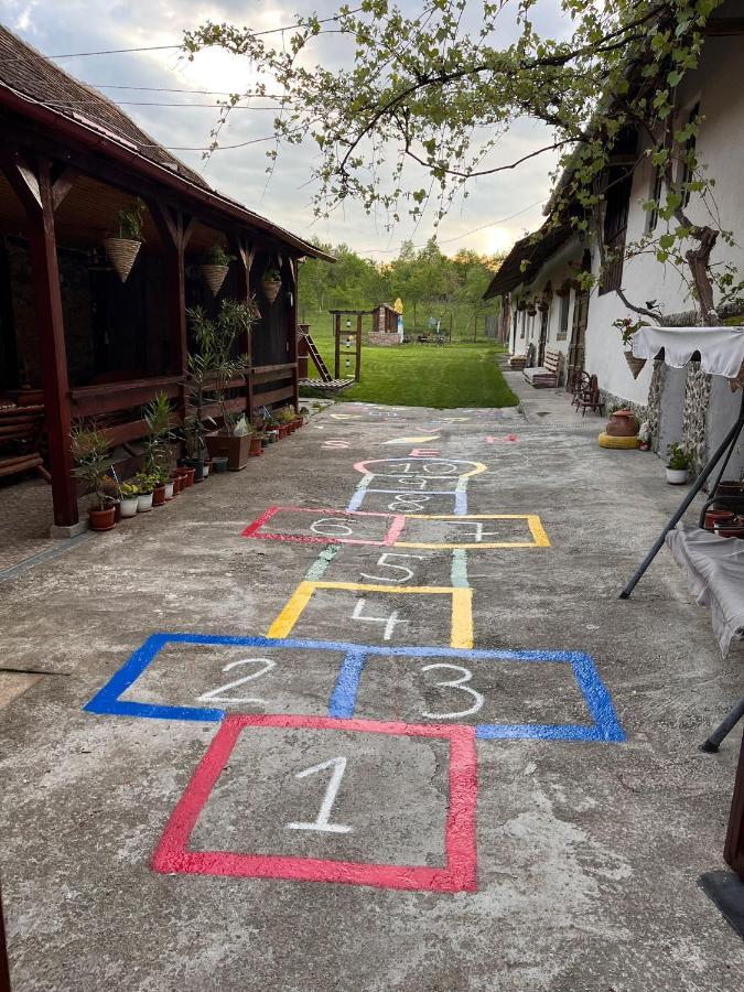 Pensjonat Casa Pe Valea Hartibaciului Barcut Zewnętrze zdjęcie