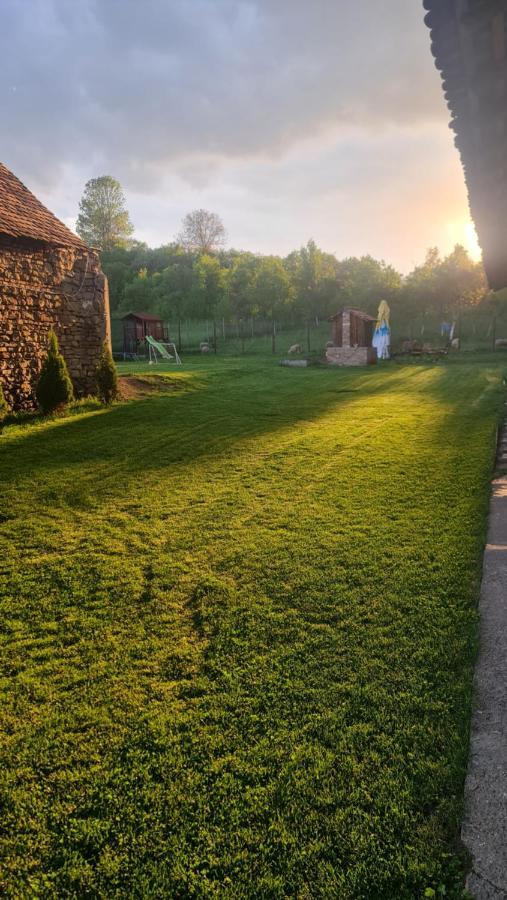 Pensjonat Casa Pe Valea Hartibaciului Barcut Zewnętrze zdjęcie