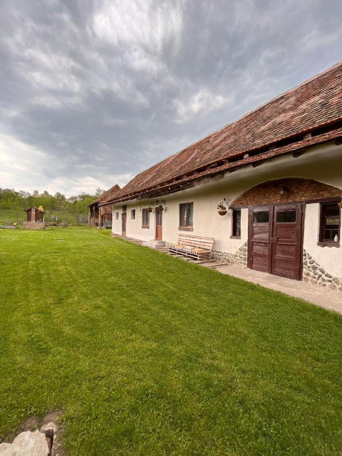 Pensjonat Casa Pe Valea Hartibaciului Barcut Zewnętrze zdjęcie