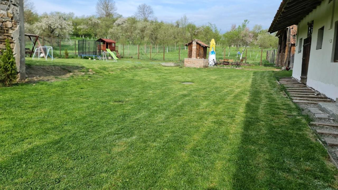 Pensjonat Casa Pe Valea Hartibaciului Barcut Zewnętrze zdjęcie