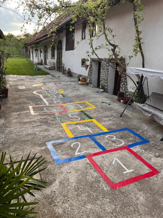 Pensjonat Casa Pe Valea Hartibaciului Barcut Zewnętrze zdjęcie