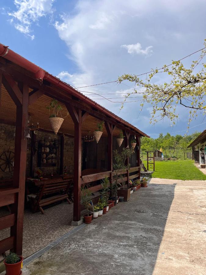 Pensjonat Casa Pe Valea Hartibaciului Barcut Zewnętrze zdjęcie