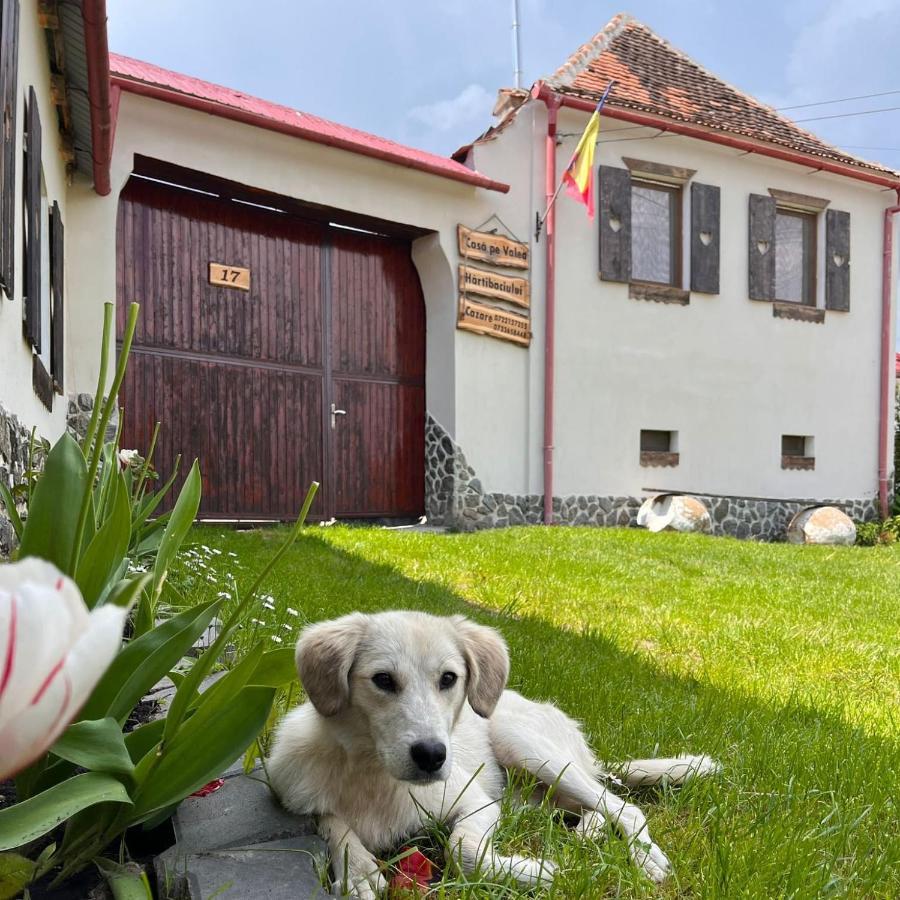 Pensjonat Casa Pe Valea Hartibaciului Barcut Zewnętrze zdjęcie