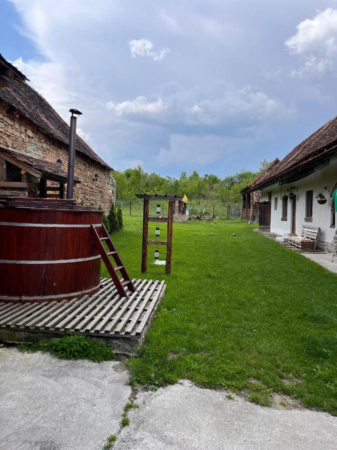 Pensjonat Casa Pe Valea Hartibaciului Barcut Zewnętrze zdjęcie